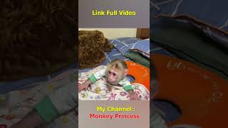 Monkey NANA woke up and missed her dad so much shorts smartmonkey babymonkey monkeynana [upl. by Jollenta]