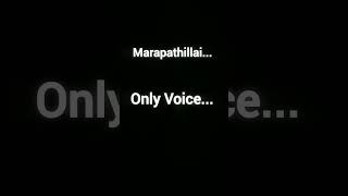 Marapathillai Only Voice❤  Ashok Selvan  Ritika Singh  Oh My Kadavule  Polambal Diary [upl. by Orsini]