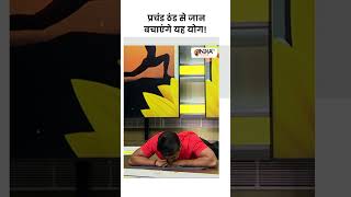 प्रचंड ठंड से जान बचाएंगे यह योगshorts yoga yogatips swamiramdev indiatvyoga winter [upl. by Kevan]