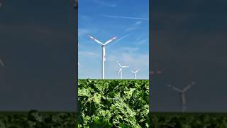 How does wind turbines generate electricity science facts [upl. by Follmer451]