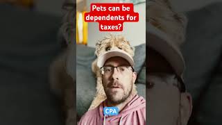 Can You Deduct Your Pets on Taxes 🐾💸 taxtips [upl. by Ttreve]