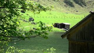 Salet Alm am Ende des Königssees eine Idylle [upl. by Anirec788]