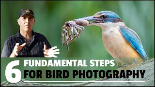 SIX FUNDAMENTAL steps to take HIGH QUALITY bird photographs [upl. by Countess77]