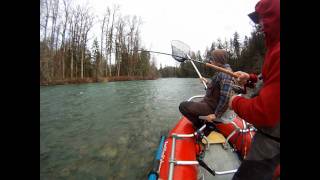 Cowichan River Steelhead  BC Steelheading  RamblingFishermancom [upl. by Bilski]