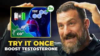 Neuroscientist Increase Testosterone PERMANENTLY in Minutes  Andrew Huberman [upl. by Tove100]