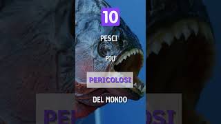 I 10 PESCI PIU PERICOLOSI DEL MONDO [upl. by Norved]