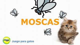 Juego para gatos  Moscas voladoras [upl. by Imelida]