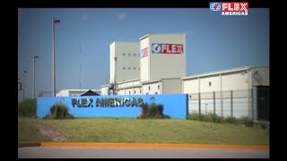 Flex Films Mexico Plant Video [upl. by Kenay]