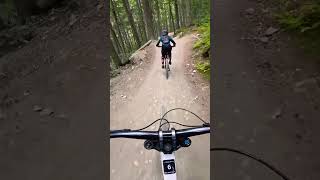 Whistler Bike Park 2024Best ride ever fbreels mtb whistlerbikepark highlights viral [upl. by Betty]