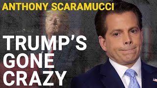 Anthony Scaramucci Trump is broke and might need a lobotomy [upl. by Eynttirb]