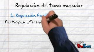 NEUROLOGIA II TONO MUSCULAR 1 [upl. by Sallee]