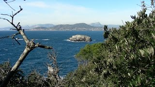 La presquîle de Giens  Sur le sentier du Littoral depuis le port de la Madrague [upl. by Swetlana]