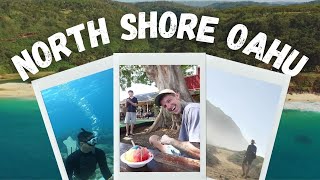 Everything you need to know North Shore day trip  Top things to do on Oahus north shore  Part4 [upl. by Calandria]