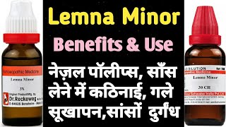 Lemna Minor Homeopathic Medicine Lemna Minor 36302001M लेमना माइनर होमियोपैथीक दावा का फायदे। [upl. by Osmo]