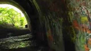 Paranormal Train Trestle Investigation Olmsted Falls OH [upl. by Ibbed]