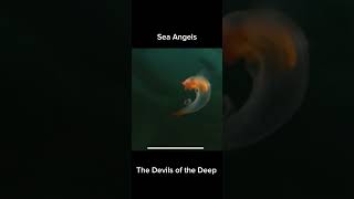 Sea Angels The Devils of the Deep [upl. by Collum]