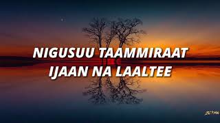 NIGUSUU TAAMMIRAAT  IJAAN NA LAALTEE  Lyrics [upl. by Ellecrad]