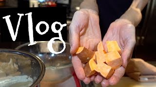 Vlog Slow cooker Tofu Soup EC expense tracker layout Dr Dray [upl. by Atirahs]