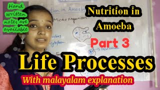 Life Processes Class 10 Science BiologyNutrition in AmoebaChapter 6 CBSE NCERT [upl. by Genet]