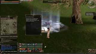 Lineage 2  An Arrogant search Baium Quest [upl. by Eustis413]