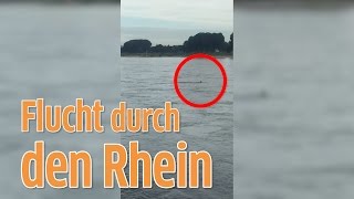 Köln Randalierer flieht und springt in den Rhein [upl. by Patric]