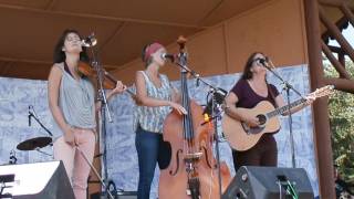 Acony Belles Slam Fest Bozeman 2016 Appalachian Mountain Delta Blues [upl. by Shawn]