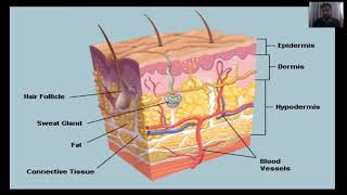 Pressure ulcer Bedsores decubitus ulcers or pressure sores in UrduHindi  Fundamental of Nursing [upl. by Ahsienor]