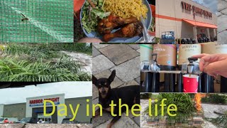 DAY IN THE LIFE  RUNNING ERRANDS  MY GREEN HOUSE  CLEANING [upl. by Charmian]