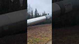 Alaska Pipeline youtubeshortsyoutubeyoutubevideoyoutubechannel [upl. by Eatnod]