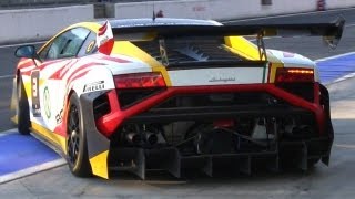 2013 Lamborghini Gallardo Super Trofeo Sound  Start Up Accelerations amp More [upl. by Agnese]