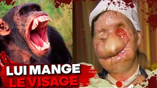 LAttaque BRUTALE de Chimpanzé la plus Dévastatrice Jamais Enregistrée [upl. by Sivar]