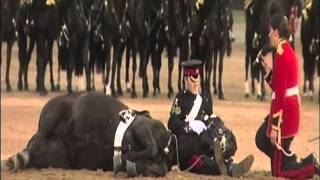 Beating Retreat 2013 The Household Cavalry Mounted Band [upl. by Tnerb]