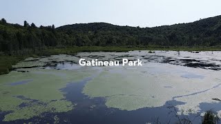 Gatineau Park an Aerial Adventure [upl. by Roswald]