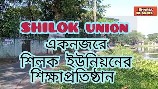 শিলক ইউনিয়নের শিক্ষা প্রতিষ্ঠান সমূহ । Institution of Shilak RANGUNIA [upl. by Ayatnohs]