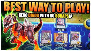 THE BEST DINO DECK  Xeno Dinos Master Rank Deck Profile amp How To Play  YuGiOh Master Duel [upl. by Coughlin]