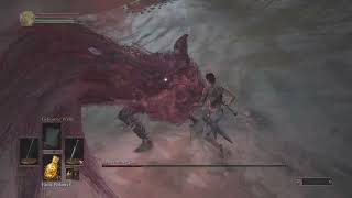 Slave knight Gael sl1  no damage [upl. by Amann249]