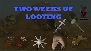 Results From 2 Weeks of Looting Crazy Loot [upl. by Lewis]