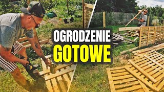 👷‍♂️ WYBIEG DLA ŚWINEK GOTOWY 👷‍♂️ Marysia i Pola dołączyły do stada  MOJE MINI ZOO  odc 452 [upl. by Akerdna716]