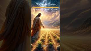 Pilgrimage of Jesus  Faith as the Seed of Miracles [upl. by Yleik]