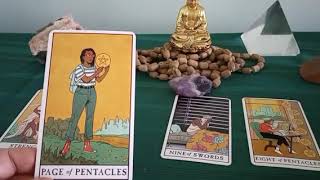 Virgo ♍ February 2024 Tarot Update [upl. by Hullda]