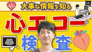 【医師解説】心エコー検査、健康診断における病気発見のカギとは？ [upl. by Enyr142]