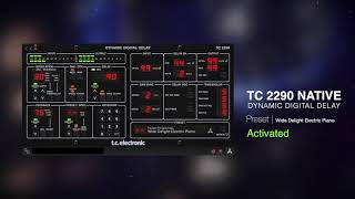 TC 2290 Dynamic Digital Delay Native PlugIn  Sound Example [upl. by Lacie939]