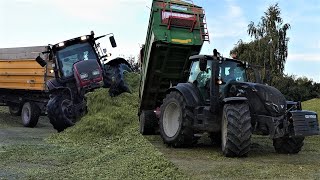 VALTRA BOKIEM 🔥 KOSZENIE KUKURYDZY 2020 🌽QQ DAYS w GR Piwko [upl. by Nerhe]