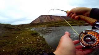 Greenland Fly Fishing for Arctic Char [upl. by Irrac]