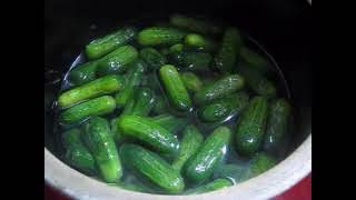 Crock Canning Sweet Gherkin Pickles [upl. by Barbur]