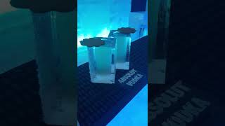 ICEHOTEL ICEBAR 2017 Jukkasjärvi icehotel jukkasjärvi sweden shortsvideo shortsfeed [upl. by Anaya856]