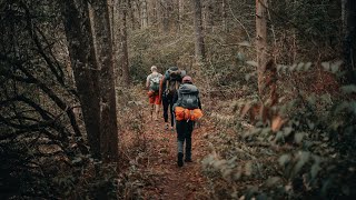 Chattooga River SC hiking  camping  exploring [upl. by Nnylrefinnej983]