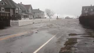 Noreaster Flooding on a road next to Minot Beach in Scituate [upl. by Snowber]