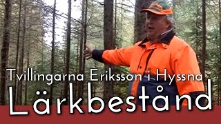 Tvillingarna Eriksson i Hyssna Lärkbestånd [upl. by Iht]