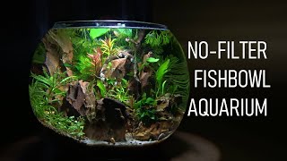 How To Set Up A FISHBOWL The RIGHT Way  No Filter  No Heater  Aquarium Setup [upl. by Notna649]